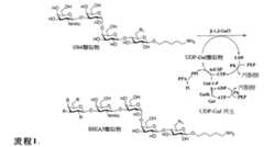 Figure 105102276-A0305-02-0150-21