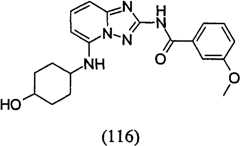 Figure GPA00001035513101132