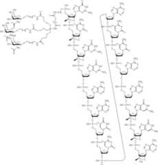 Figure US12018261-20240625-C00032