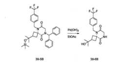 Figure 108131375-A0202-12-0337-509