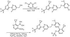 Figure imgf000460_0001