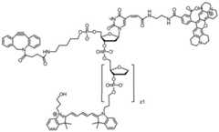 Figure BDA0003670511740002101