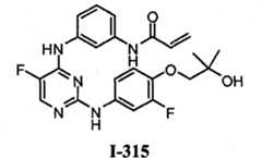 Figure BPA00001280125603261