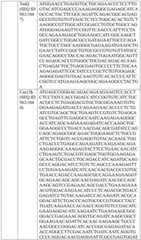 Figure BDA0004033970230005281