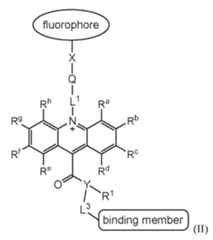 Figure imgf000038_0001