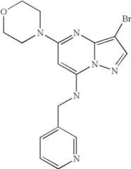 Figure US07119200-20061010-C04839