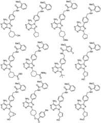 Figure BDA0001661073090000261