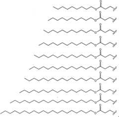 Figure A20068002978801131