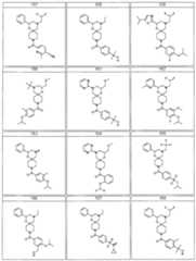 Figure imgf000329_0001