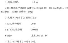 Figure BDA0001702061020002091