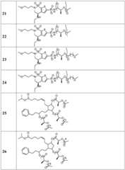 Figure BDA0002268634580002521