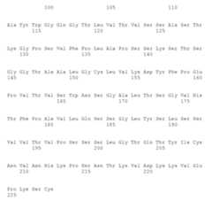 Figure 109106319-A0305-02-0224-197