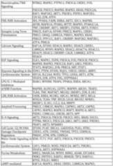 Figure imgf000140_0001