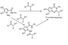 Figure imgf000195_0003