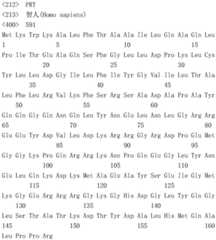 Figure IDA0002795140360003161