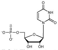 Figure imgf000022_0004