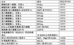 Figure BPA0000291811450002331