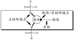 Figure BDA0003746740800000411