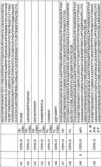 Figure BPA0000256061330001681