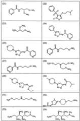 Figure imgf000121_0001