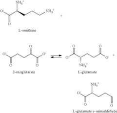 Figure US08133704-20120313-C00028