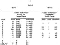 Figure imgf000019_0001