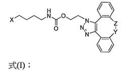 Figure 109130857-A0202-12-0315-356