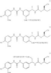 Figure US07427636-20080923-C00125