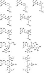 Figure 0007468295000106