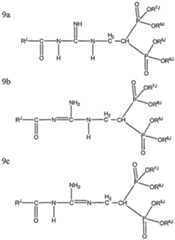 Figure imgf000032_0001