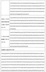 Figure 108128641-A0202-12-0263-920