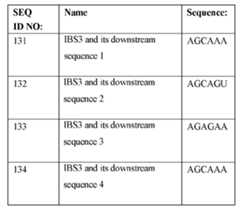 Figure WO-DOC-TABLE-15
