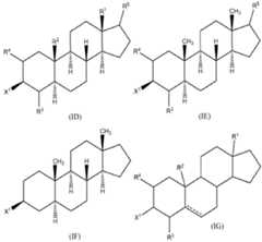 Figure imgf000025_0002
