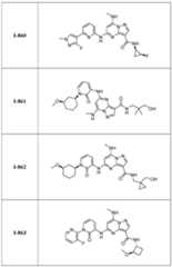 Figure imgf000261_0001