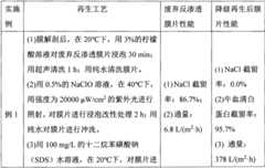 Figure BSA0000222126150000043