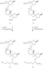 Figure US10221416-20190305-C00033