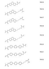 Figure 2024079817000123