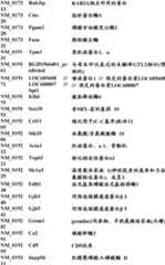 Figure BDA0000057170160001441