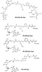 Figure imgf000045_0001