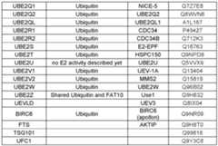 Figure imgf000086_0001