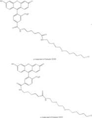 Figure US07425436-20080916-C00017