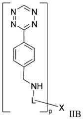 Figure imgf000051_0002
