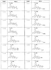 Figure JPOXMLDOC01-appb-T000008