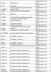 Figure imgf000330_0001