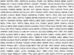 Figure imgf000055_0001