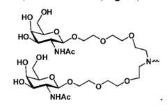 Figure imgf000143_0002