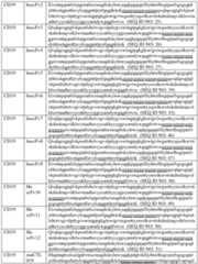 Figure imgf000156_0001