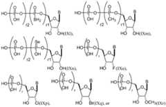 Figure imgf000056_0001