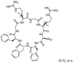 Figure imgf000110_0002