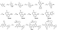 Figure imgf000623_0001